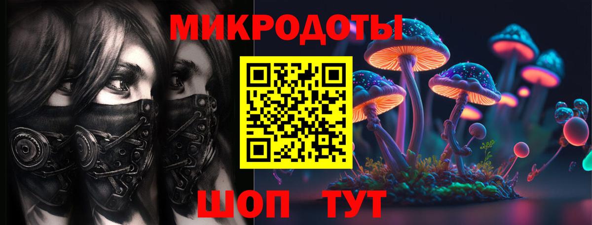 Сунжа  Псилоцибиновые грибы мухоморы  Вход с VPN 
